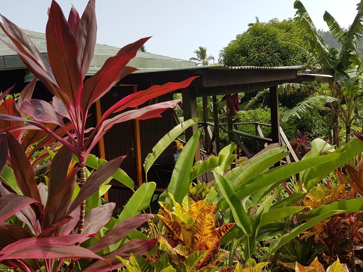Hibiscus Valley Inn Marigot ภายนอก รูปภาพ