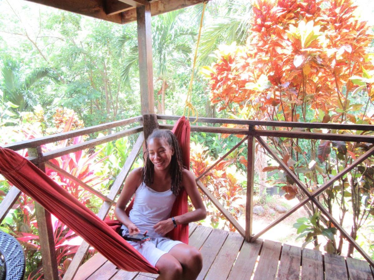 Hibiscus Valley Inn Marigot ภายนอก รูปภาพ