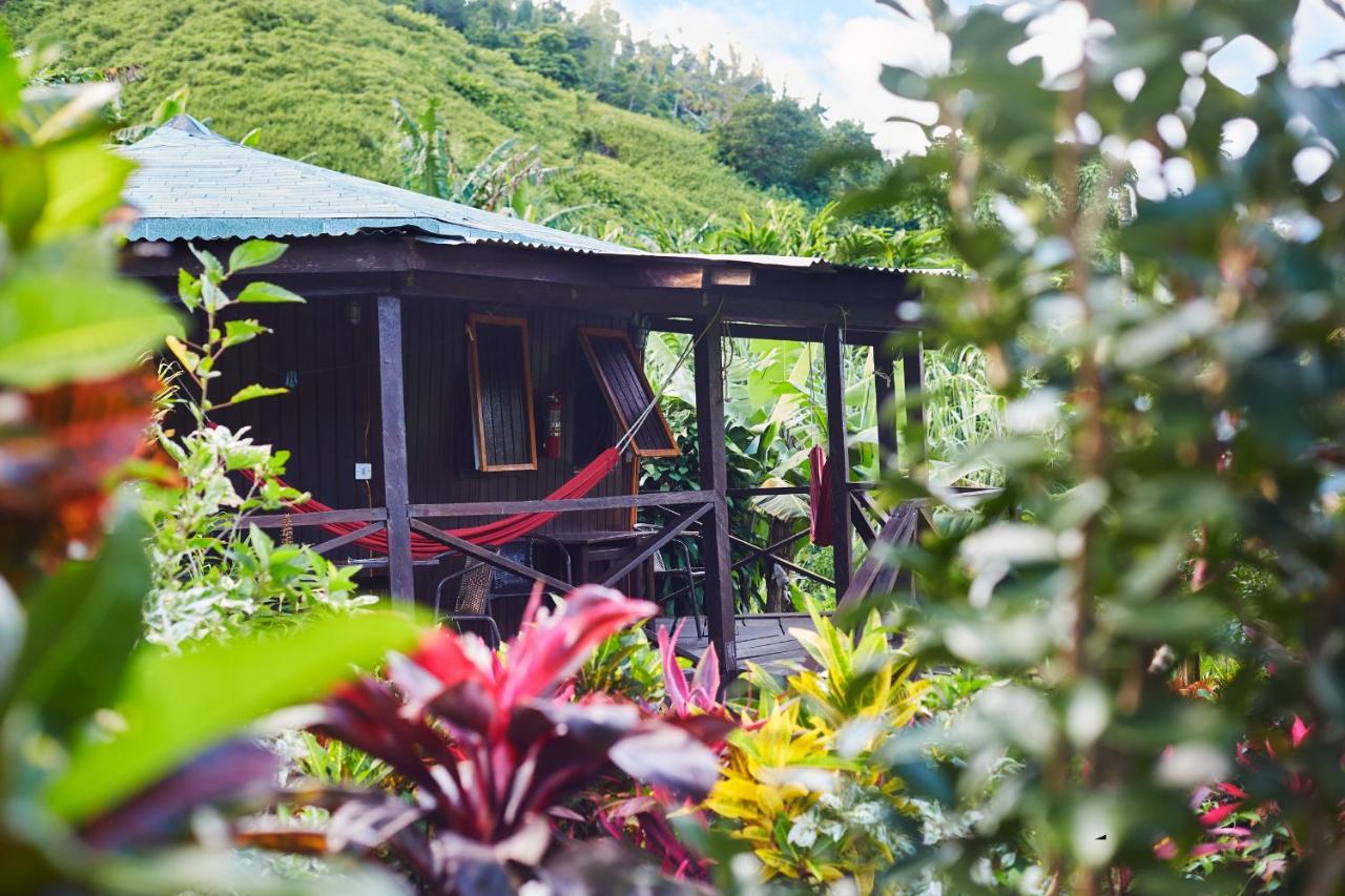 Hibiscus Valley Inn Marigot ภายนอก รูปภาพ