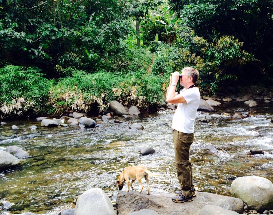 Hibiscus Valley Inn Marigot ภายนอก รูปภาพ