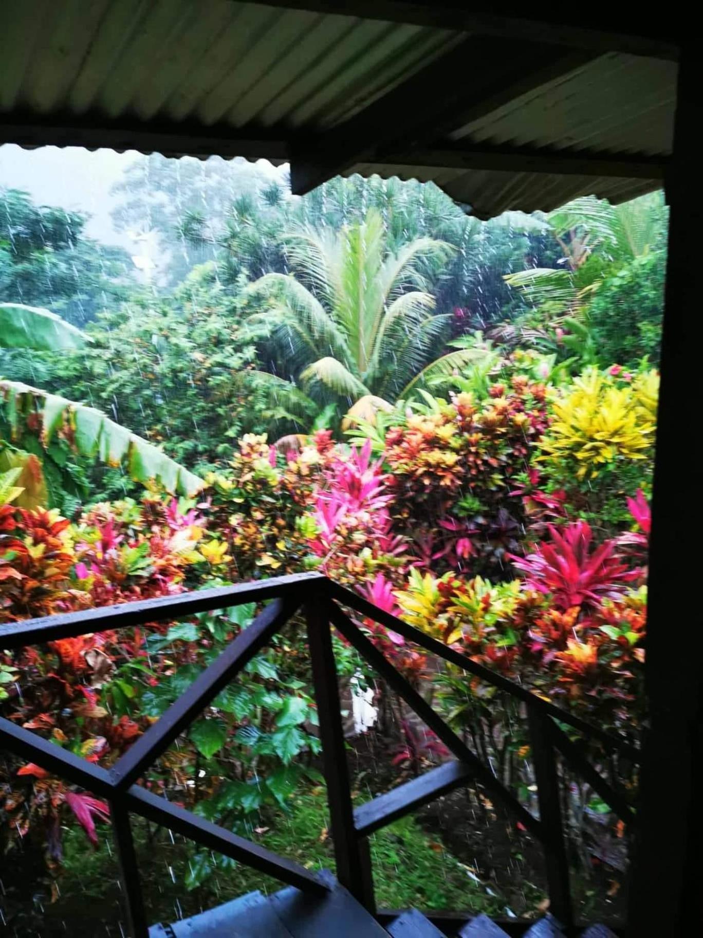 Hibiscus Valley Inn Marigot ภายนอก รูปภาพ