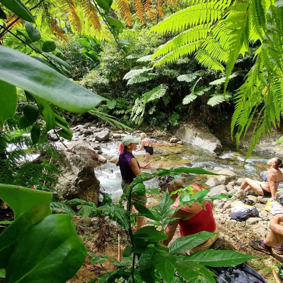 Hibiscus Valley Inn Marigot ภายนอก รูปภาพ