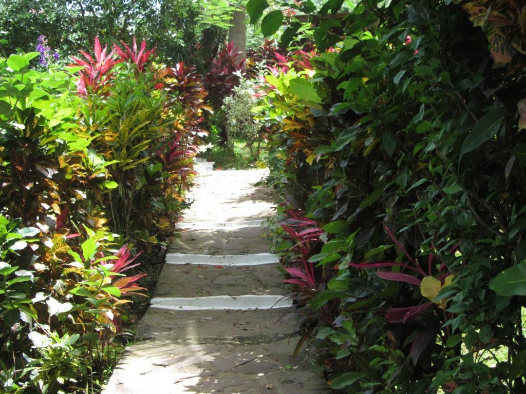 Hibiscus Valley Inn Marigot ห้อง รูปภาพ