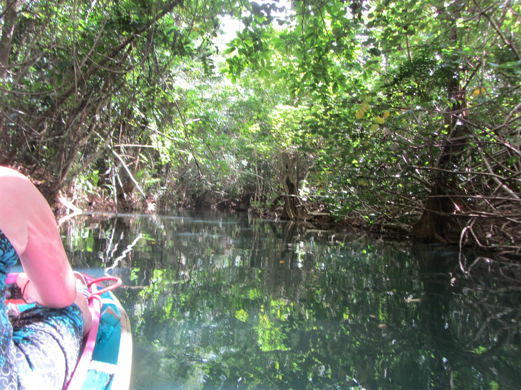 Hibiscus Valley Inn Marigot ภายนอก รูปภาพ