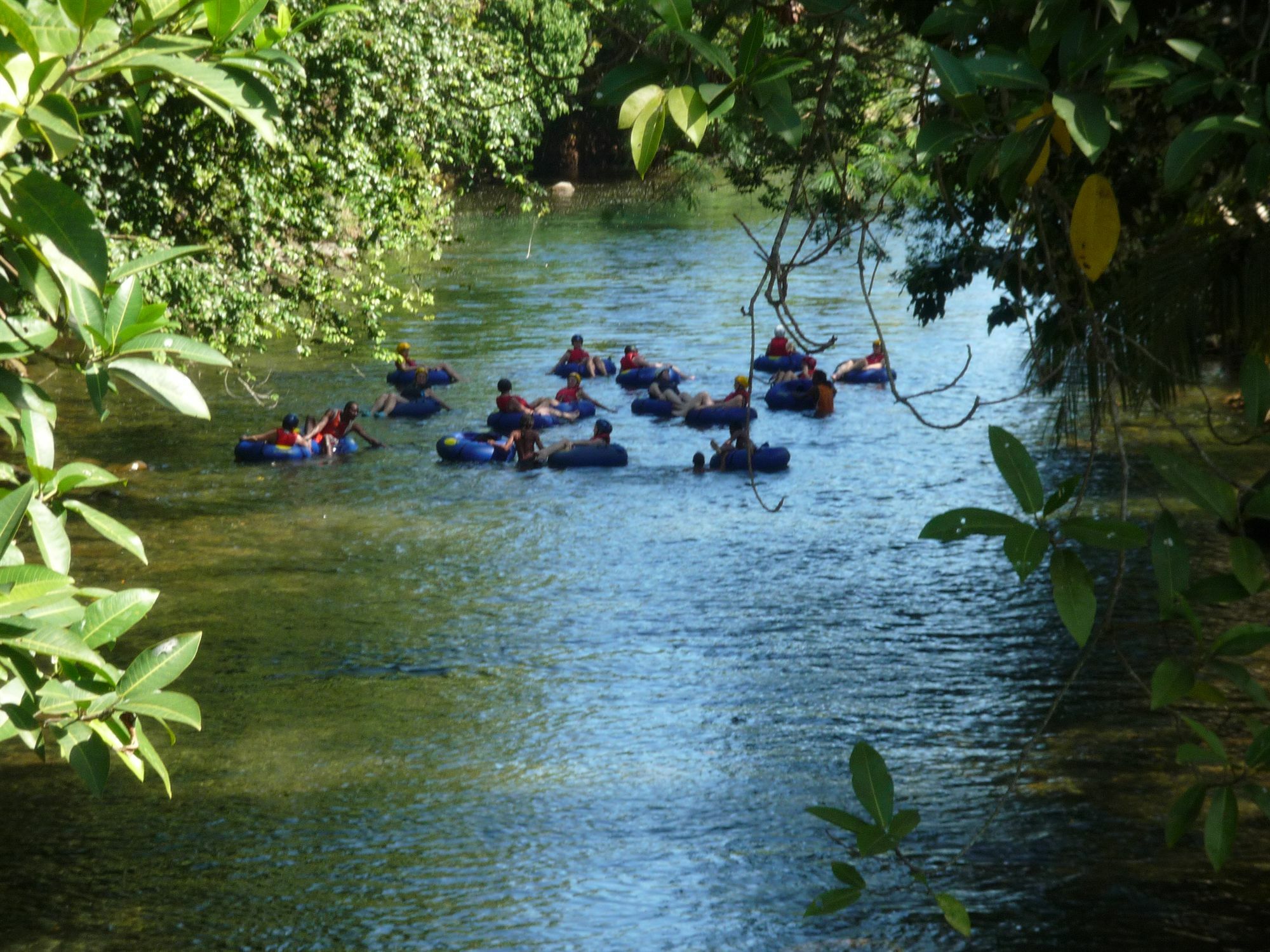 Hibiscus Valley Inn Marigot ภายนอก รูปภาพ